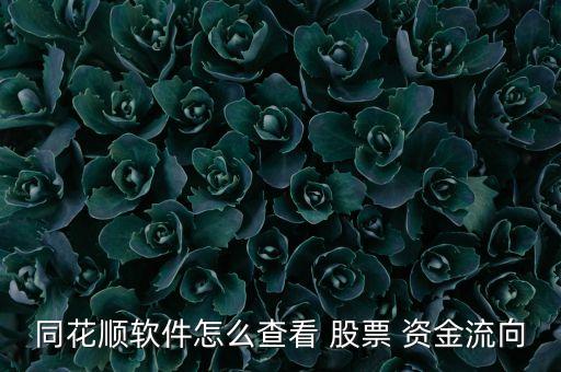 同花順軟件怎么查看 股票 資金流向