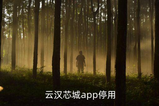  云漢芯城app停用