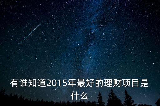 有誰知道2015年最好的理財項目是什么