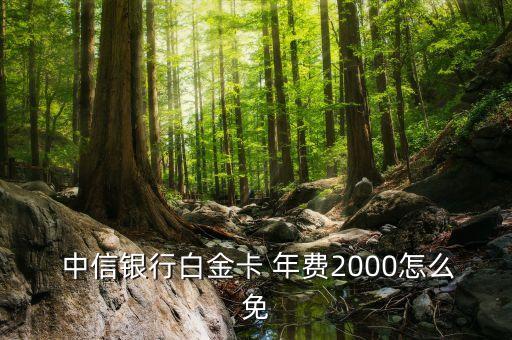  中信銀行白金卡 年費(fèi)2000怎么免