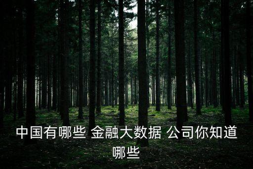 中國有哪些 金融大數(shù)據(jù) 公司你知道哪些