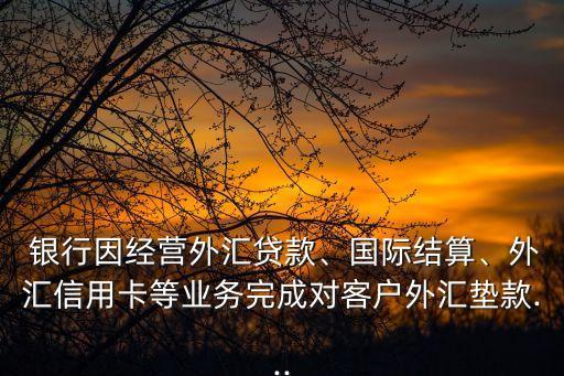  銀行因經(jīng)營外匯貸款、國際結(jié)算、外匯信用卡等業(yè)務完成對客戶外匯墊款...