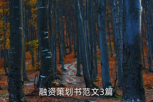 融資策劃書(shū)范文3篇