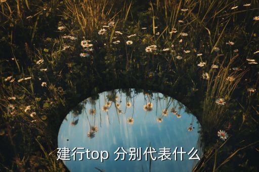 建行top 分別代表什么