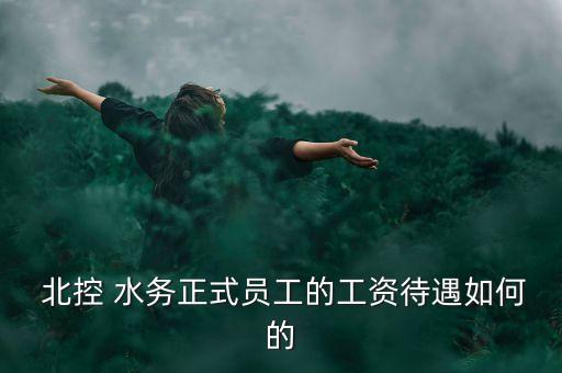  北控 水務(wù)正式員工的工資待遇如何的