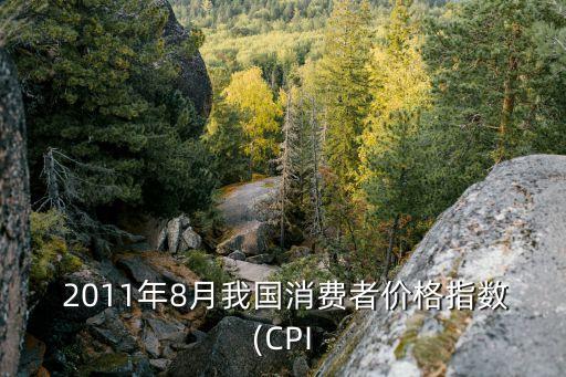  2011年8月我國消費者價格指數(shù)(CPI