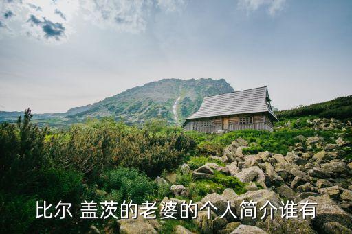 比爾 蓋茨的老婆的個(gè)人簡(jiǎn)介誰有