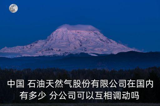 中國(guó) 石油天然氣股份有限公司在國(guó)內(nèi)有多少 分公司可以互相調(diào)動(dòng)嗎