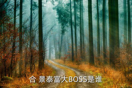 合 景泰富大BOSS是誰