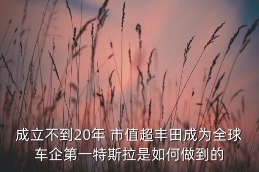 成立不到20年 市值超豐田成為全球車企第一特斯拉是如何做到的