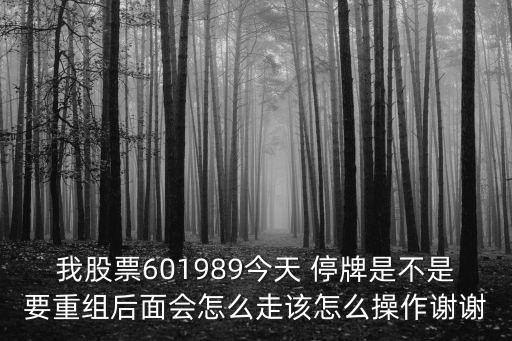 我股票601989今天 停牌是不是要重組后面會怎么走該怎么操作謝謝