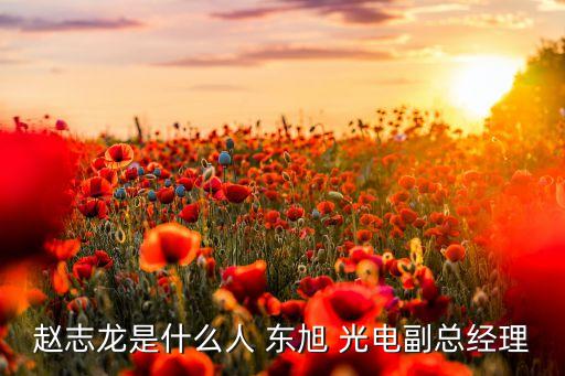 趙志龍是什么人 東旭 光電副總經(jīng)理