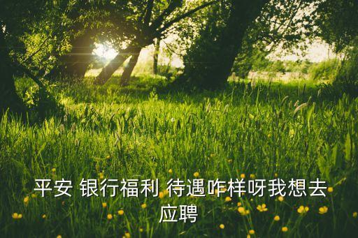  平安 銀行福利 待遇咋樣呀我想去應(yīng)聘