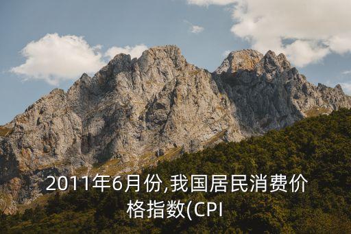 中國(guó)2011年cpi,地理中國(guó)2011年