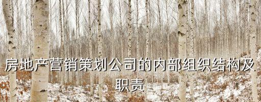 房地產(chǎn)營銷策劃公司的內(nèi)部組織結(jié)構(gòu)及職責(zé)