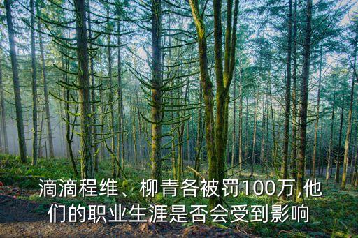  滴滴程維、柳青各被罰100萬,他們的職業(yè)生涯是否會(huì)受到影響