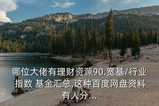 哪位大佬有理財資源90.寬基/行業(yè) 指數(shù) 基金匯總,這種百度網(wǎng)盤資料有人分...