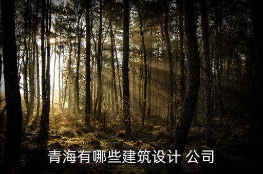 青海有哪些建筑設(shè)計 公司