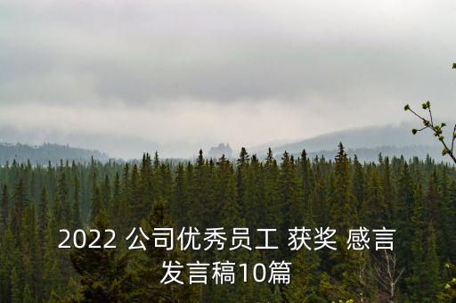 2022 公司優(yōu)秀員工 獲獎 感言發(fā)言稿10篇