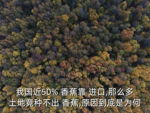 中國的香蕉進口,中國香蕉進口同比減少31%