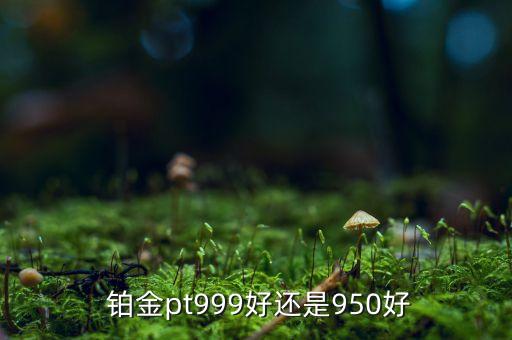  鉑金pt999好還是950好