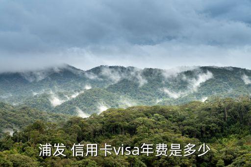 浦發(fā) 信用卡visa年費(fèi)是多少