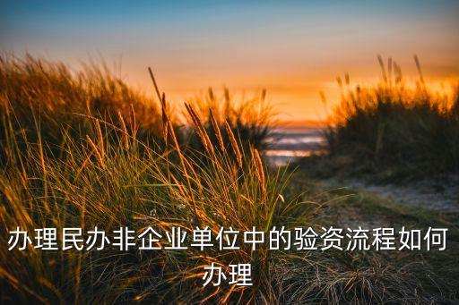 辦理民辦非企業(yè)單位中的驗(yàn)資流程如何辦理