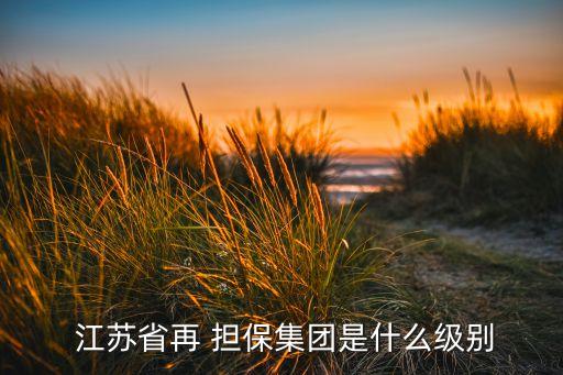 江蘇中貿(mào)融資擔保有限公司,江蘇立信中小企業(yè)融資擔保有限公司