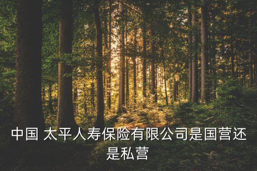 中國 太平人壽保險(xiǎn)有限公司是國營還是私營