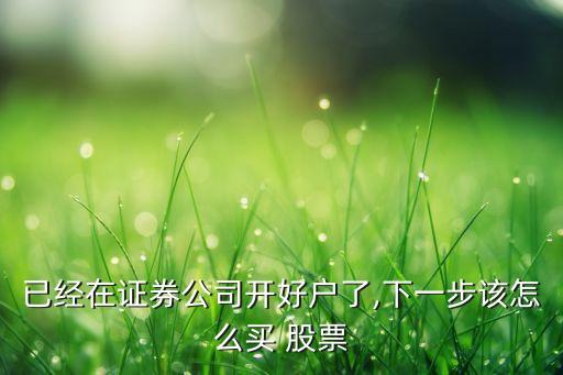 已經(jīng)在證券公司開好戶了,下一步該怎么買 股票