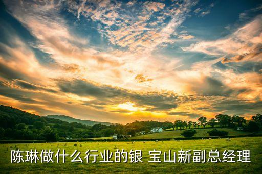 陳琳做什么行業(yè)的銀 寶山新副總經(jīng)理