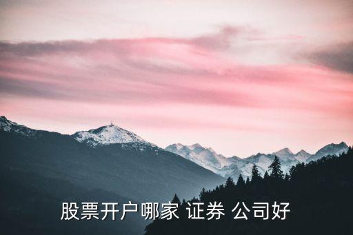 股票開戶哪家 證券 公司好