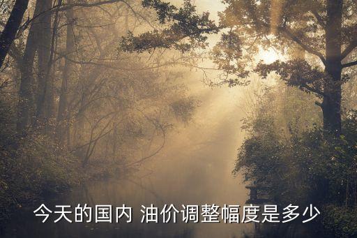 今天的國內(nèi) 油價調(diào)整幅度是多少