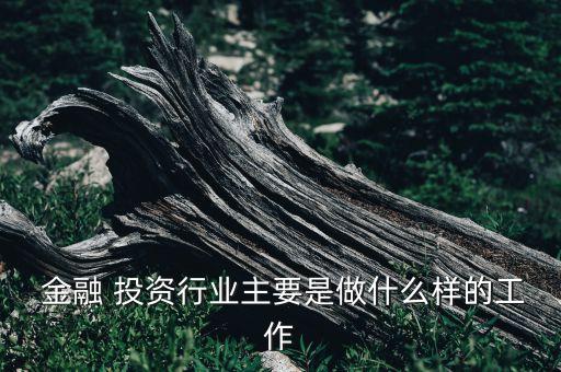  金融 投資行業(yè)主要是做什么樣的工作