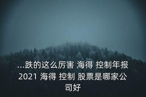 ...跌的這么厲害 海得 控制年報2021 海得 控制 股票是哪家公司好