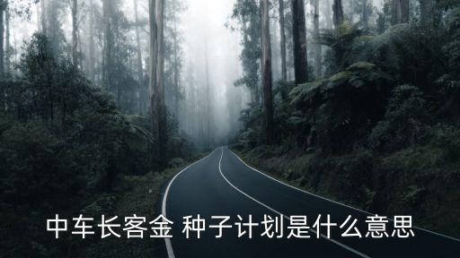 中車長(zhǎng)客金 種子計(jì)劃是什么意思