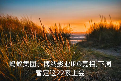 28家ipo公司名單,最新IPO公司排隊(duì)名單