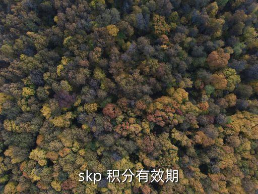 skp 積分有效期