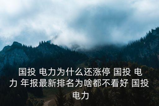  國投 電力為什么還漲停 國投 電力 年報最新排名為啥都不看好 國投 電力