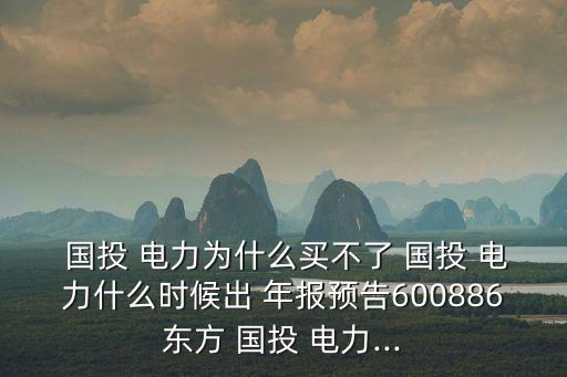  國投 電力為什么買不了 國投 電力什么時候出 年報預(yù)告600886東方 國投 電力...