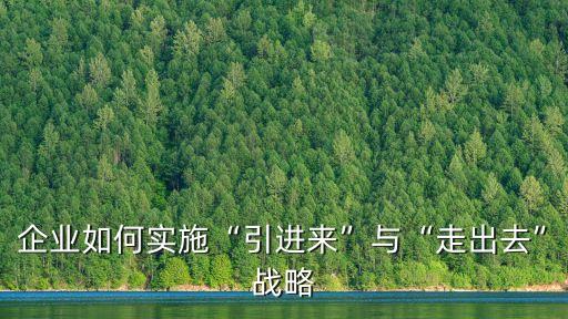 企業(yè)如何實施“引進來”與“走出去”戰(zhàn)略