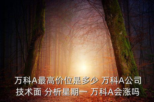  萬科A最高價位是多少 萬科A公司 技術(shù)面 分析星期一 萬科A會漲嗎