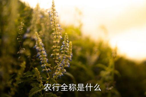 農(nóng)行全稱(chēng)是什么