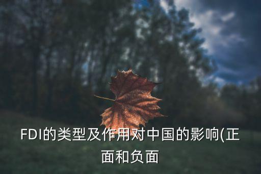 對外直接投資統(tǒng)計(jì)制度