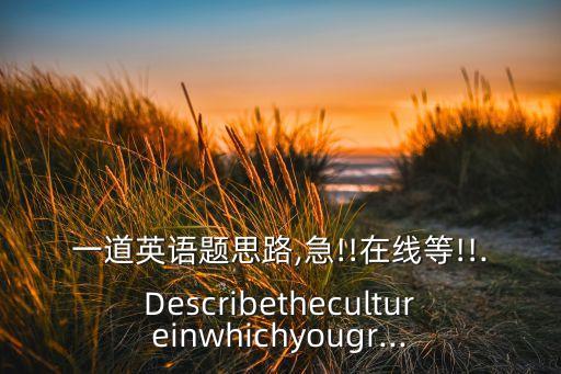 一道英語題思路,急!!在線等!!.Describethecultureinwhichyougr...