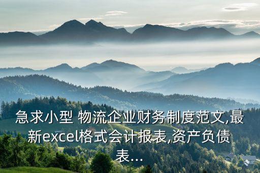 急求小型 物流企業(yè)財務制度范文,最新excel格式會計報表,資產負債表...