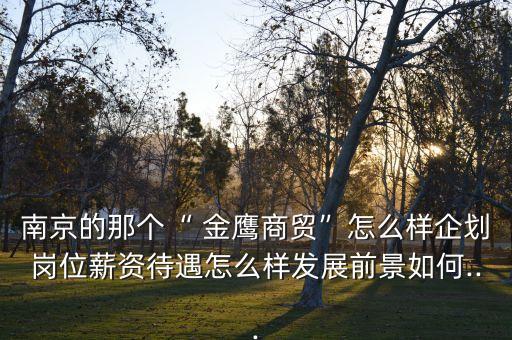 南京的那個“ 金鷹商貿”怎么樣企劃崗位薪資待遇怎么樣發(fā)展前景如何...