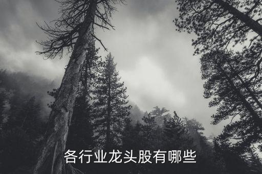 各行業(yè)龍頭股有哪些