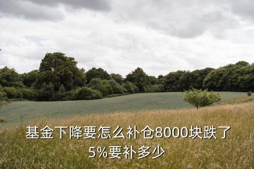  基金下降要怎么補(bǔ)倉8000塊跌了5%要補(bǔ)多少