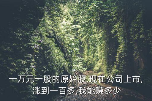 一萬(wàn)元一股的原始股,現(xiàn)在公司上市, 漲到一百多,我能賺多少